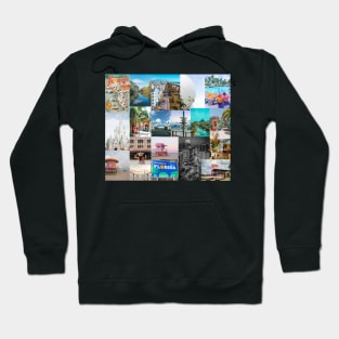 florida aesthetic collage Hoodie